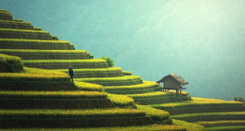 Sustainable Solutions